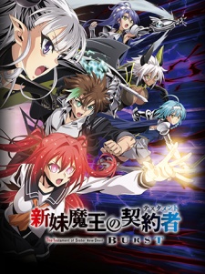 The Testament of Sister New Devil: Burst