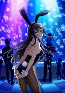 Rascal Does Not Dream of Bunny Girl Senpai 