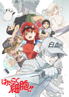 Cells at Work!!, 