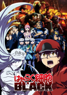 Cells at Work! CODE BLACK!, 